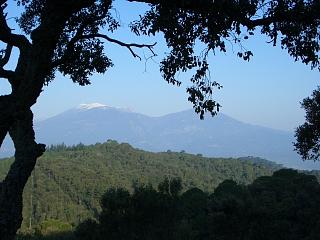 Febrero 2005: Travesía Montnegre-Corredor. El Montseny, a lo lejos, nevado.