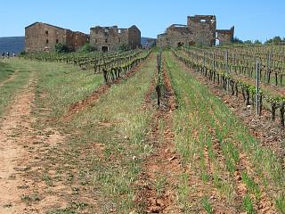 Las masias abandonadas de Can Pags
