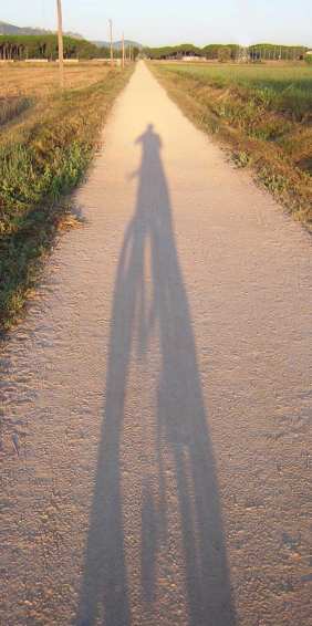 La sombra del mountain biker es alargada...