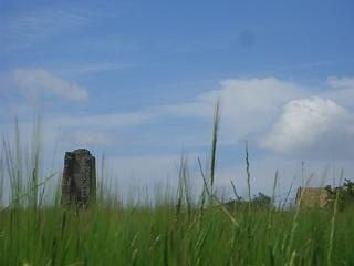 La torre de Peracamps, en bastante mal estado y entre campos de cultivo.